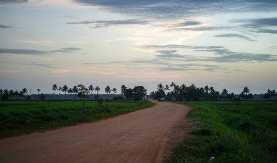 A dirt road in the middle of a green field